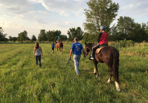 Volunteers at field with horses